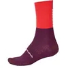 Image de ENDURA Modern Chaussettes Homme