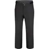 Image de Dare2b Homme Ream Waterproof Ski Pants, Noir, S EU