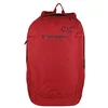 Image de Regatta - Sac à dos uni SHILTON (Taille unique) (Rouge vif)