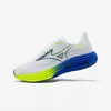 Image de Chaussure de running homme, Mizuno Wave Rider 29