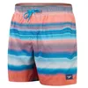 Image de Speedo Short de bain Placement Leisure 16 pour homme, Multicolore, 2