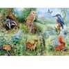 Image de HOP - House of Puzzles Pièces XXL - Etude Naturelle
