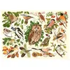 Image de Puzzle 500 pièces Woodland Birds | Grandes pièces, Paysage illustré d'artiste | pour Adultes | Cadeau Deluxe idéal pour Les Amateurs de Puzzles