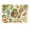 Image de HOP - House of Puzzles Pièces XXL - Oiseaux Des Bois