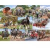 Image de HOP - House of Puzzles Le Groupe des Poids Lourds