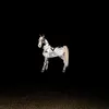 Image de Funeral Music [VINYL]