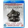 Image de CABIN IN THE WOODS, THE (BLU RAY)