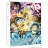 Image de Sword Art Online Alicization L'intégrale de la Saison 1 Blu-ray en occasion ou reconditionné