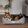 Image de Scruffs Expedition Panier de Voyage imperméable pour Chien (M)