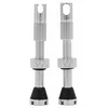 Image de Valves Tubeless Peaty's MK2 Chris King 80mm Argent