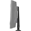 Image de Pieds d'enceintes Lithe Audio IO1 Garden Spike Noir