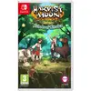 Image de Harvest Moon Echoes of Teradea Switch NUMSKULL GAMES