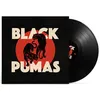 Image de Black Pumas en occasion ou reconditionné