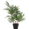 Image de J-Line Palmier En Pot Plastique Vert/Noir Small