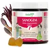 Image de HerbalGem - Gummies SanoGem - 60 gommes