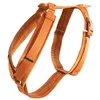Image de Harnais pour chien actif velours orange S 26-40cm
