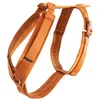 Image de Harnais pour chien actif velours orange L 38-58cm