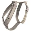 Image de Harnais pour chien actif velours beige M 30-48cm