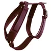 Image de Harnais pour chien actif velours bordeaux XS 22-36cm