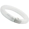 Image de SYLVANIA CIRCLINE 32W D.31CM G10Q 840 (Vendu par 1)