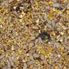 Image de Clean Garden schalenlos   Versele Nature 10 kg