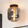 Image de Lucide Plafonnier Joanet avec verre fumé, Ø 25 cm