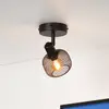 Image de Lucide Spot pour plafond Maren, à 1 lampe, noir
