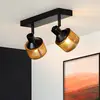 Image de Lucide Spot pour plafond Rafa abat-jour grille, 2 lampes