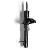 Image de MONROE Amortisseur Jambe de suspension Pression de gaz Essieu avant gauche amortisseurs Compatible avec FORD Focus Mk1 3/5 portes DAW, DBW G16276