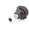 Image de MONROE L38501 Rotule de suspension Compatible avec PEUGEOT 406 Berline 8B 406 Coupé 8C 607 Berline 9D, 9U 406 Break 8E/F 405 I Berline 15B 405 II Berline 4B