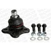 Image de MONROE L16553 Rotule de suspension Compatible avec FORD Fiesta Mk5 3/5 portes JH1, JD1, JH3, JD3 Fusion Break JU2, JU Fiesta Mk5 Van Fusion Berline CD3, MAZDA 2 DY