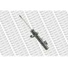 Image de MONROE Amortisseur Jambe de suspension Pression de gaz amortisseurs Compatible avec CITROËN C3 I 3/5 portes FC, FN G8148