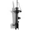 Image de MONROE Amortisseur Jambe de suspension Pression de gaz G16249