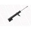 Image de MONROE Amortisseur Jambe de suspension Pression de gaz Essieu avant gauche amortisseurs Compatible avec OPEL Meriva B S10 742195SP