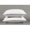 Image de Set 2x oreillers 60x60 cm
