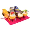 Image de Artemio 13001005 Lot de 6 Oiseaux Multicolores sur Pince, 5 cm x 6 cm x 2,5 cm