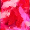 Image de 10 g Plumes Colorées Red
