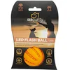Image de Duvoplus, LED Flash Ball 6,4x6,4x6,4cm Orange, Jouet, Orange, Chien