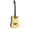 Image de J.N Guitars EW3000CN guitare électro-acoustique folk solid body