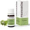 Image de Pranarôm |Huile Essentielle d'Angélique | HECT | 5 ml