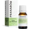 Image de Pranarôm Huile Essentielle Cèdre de l'Himalaya Cedrus deodara Bois HECT 10 ml