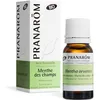 Image de PRANARÔM - Menthe Des Champs Bio - Huile Essentielle Chémotypée - Digestion - Pure Et Naturelle - HECT - 10 ml