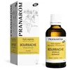 Image de Pranarôm Huile Végétale Bourrache Bio 50 ml
