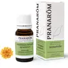 Image de PRANARÔM - Immortelle - Huile Essentielle Chémotypée - Soin de la peau & Bleus - 100% Pure Et Naturelle - HECT - 10 ml