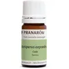 Image de Pranarôm | Huile Essentielle Cade Bio | Juniperus oxycedrus | Rameau | 5 ml