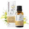 Image de Pranarôm Synergie Essentielle Sérénité, Equilibre, aux huiles essentielles, Synergie multi-usages soin de l’esprit et de la peau, 30 ml