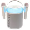 Image de Enceinte sono IBIZA KARAHOME-WH