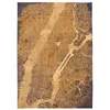 Image de Tapis de Salon Cities Collection 140x200 cm - Gatsby Gold - Graphique Artistique Inspiré des Anciennes Cartes pour Une Décoration Moderne