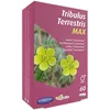 Image de Orthonat - Tribulus Terrestris Max - Complément Alimentaire Fertilité*, Testostérone** - 450 mg d’Extrait Sec de Tribulus Terrestris (dont 260 mg de Saponines) par Gélule - Formule Vegan - 60 Gélules