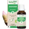 Image de HerbalGem - Bourgeon d'Amandier - 30 ml